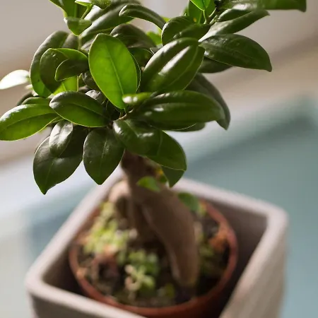 شقة Hideaway Penthouse *