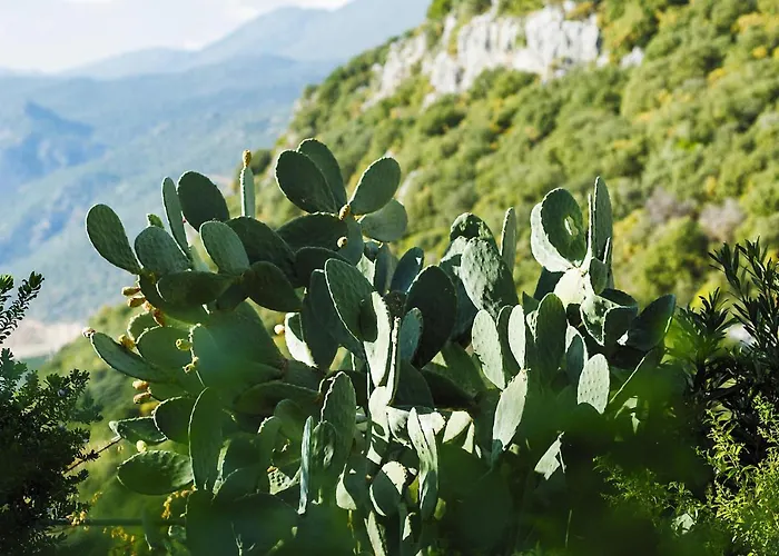 Hideaway Penthouse * Kas