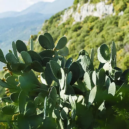 Hideaway Penthouse * Kaş